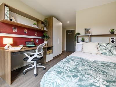 Picture 7